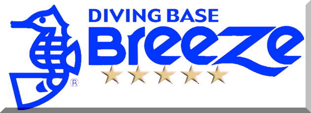 ���锑�܂锪�䓇