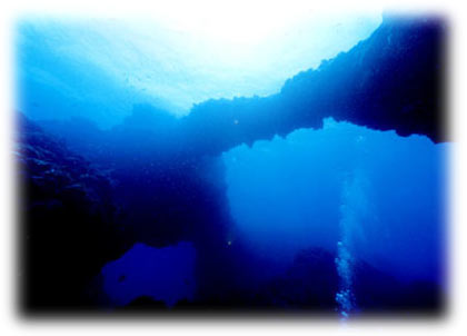 ���锑�܂锪�䓇