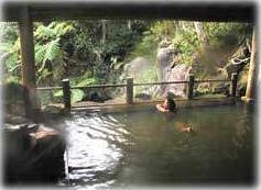 ���锑�܂锪�䓇